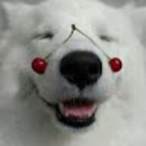 Meet your Posher, Candace